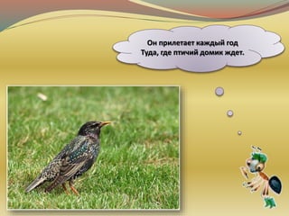 Он прилетает каждый год
Туда, где птичий домик ждет.
 