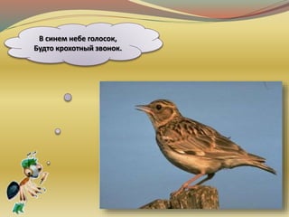 В синем небе голосок,
Будто крохотный звонок.
 