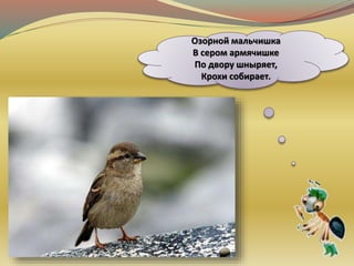 Озорной мальчишка
В сером армячишке
По двору шныряет,
Крохи собирает.
 