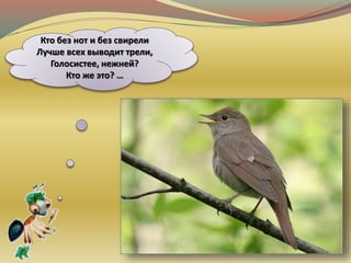 Кто без нот и без свирели
Лучше всех выводит трели,
Голосистее, нежней?
Кто же это? …
 