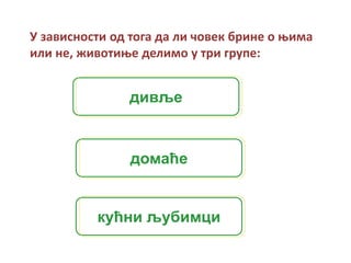 У зависности од тога да ли човек брине о њима
или не, животиње делимо у три групе:
дивље
домаће
кућни љубимци
 