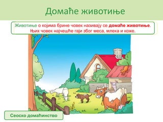 Домаће животиње
Сеоско домаћинство
Животиње о којима брине човек називају се домаће животиње.
Њих човек најчешће гаји због меса, млека и коже.
 