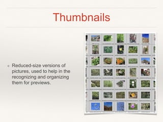 Thumbnails
❖ Reduced-size versions of
pictures, used to help in the
recognizing and organizing
them for previews.
 