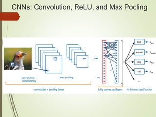 CNNs: Convolution, ReLU, and Max Pooling
 