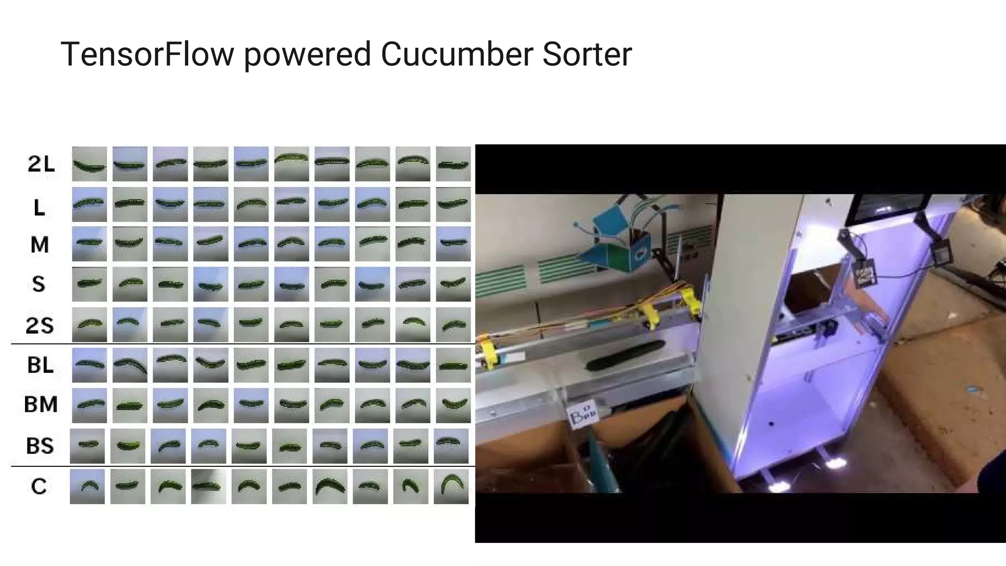 TensorFlow powered Cucumber Sorter
 
