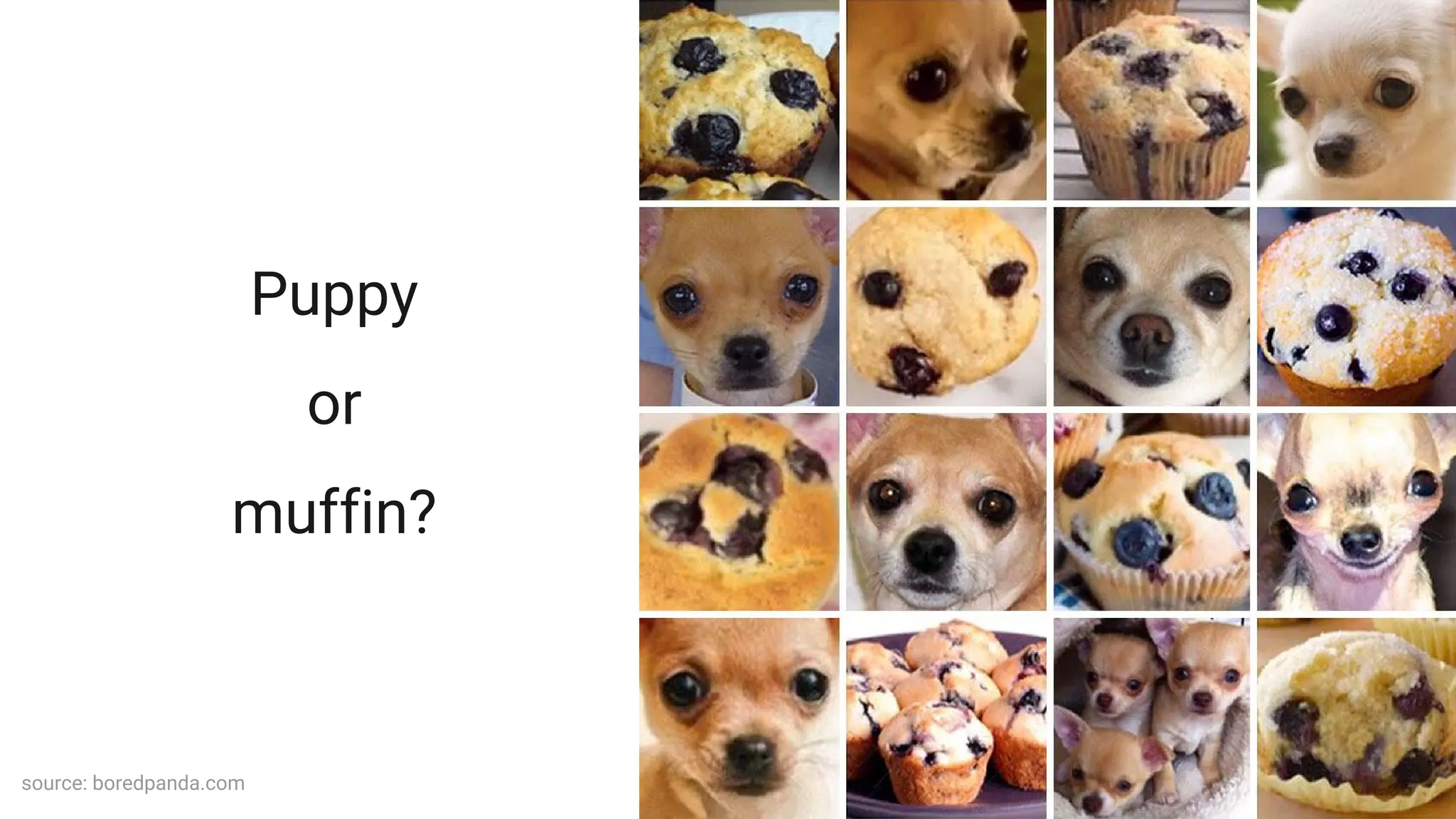 Puppy
or
muffin?
source: boredpanda.com
 