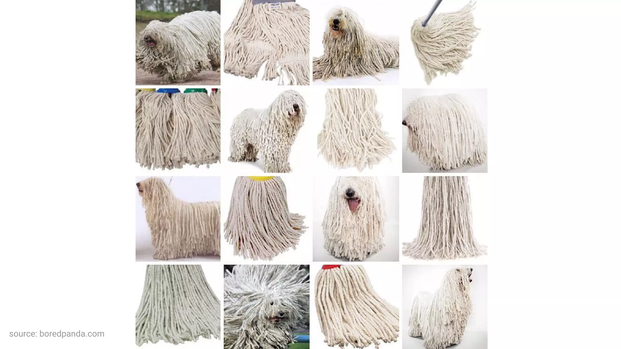 source: boredpanda.com
 