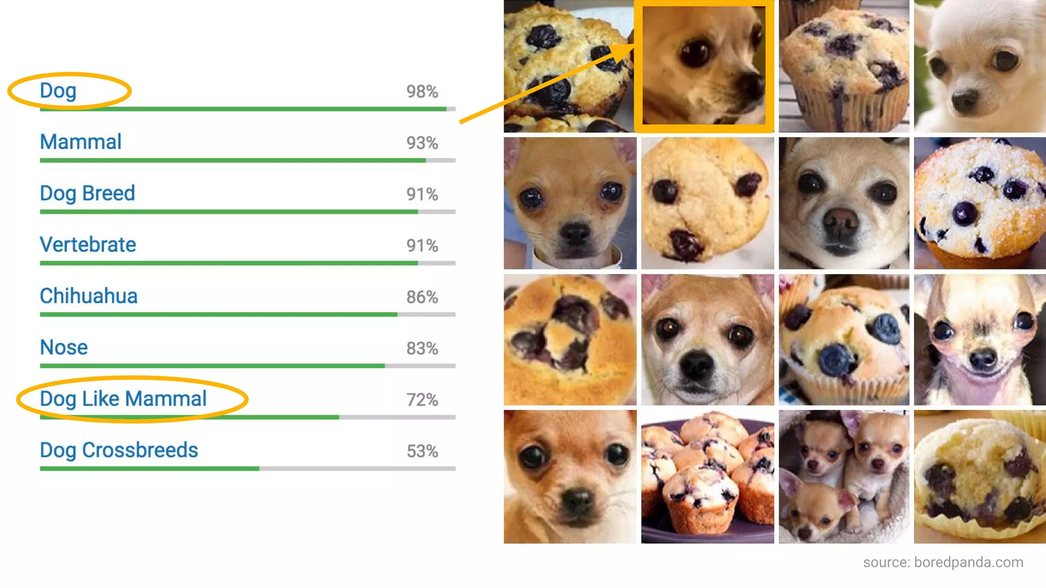 source: boredpanda.com
 