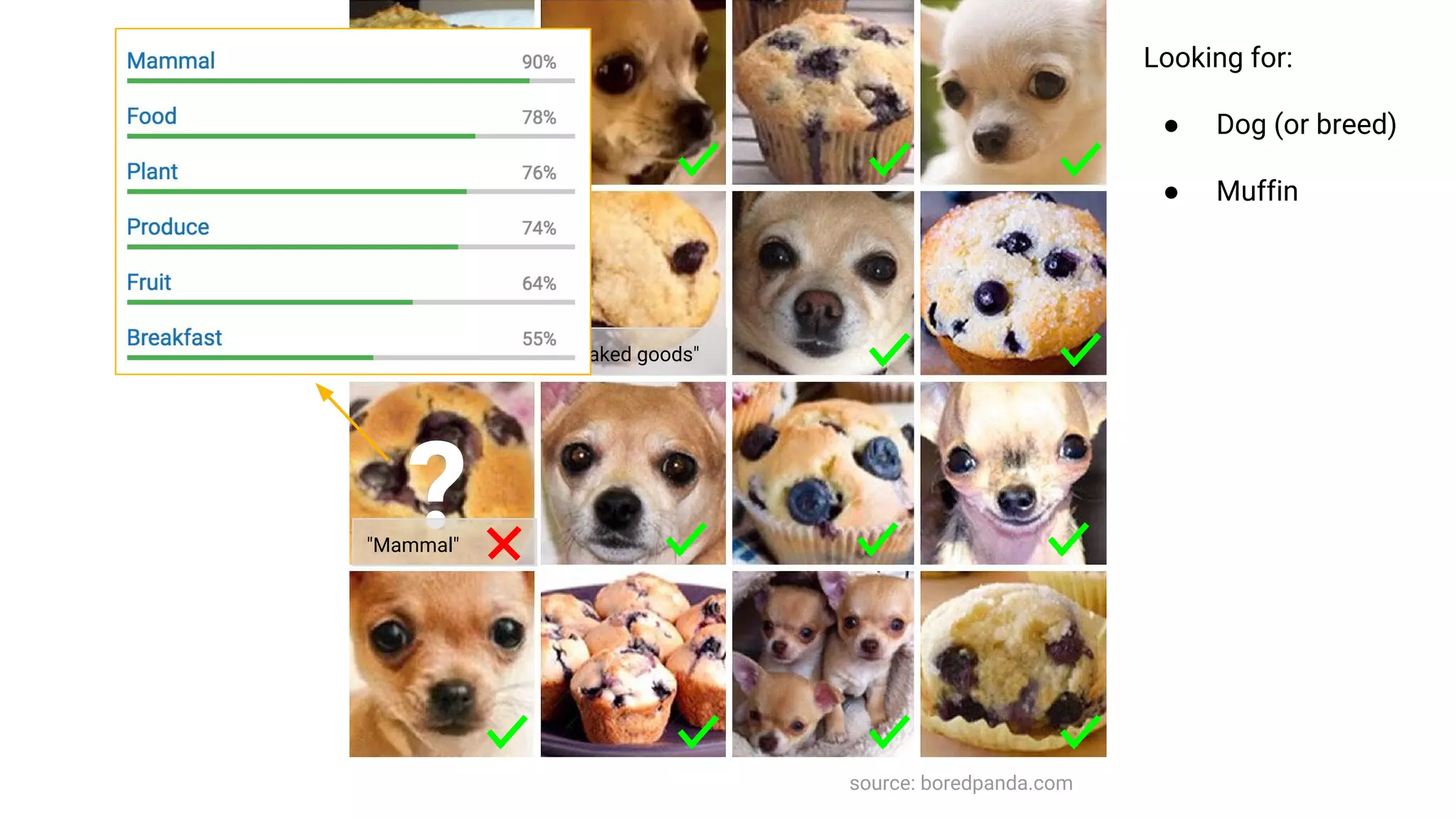 source: boredpanda.com
?
"Baked goods"
"Mammal"
Looking for:
● Dog (or breed)
● Muffin
 