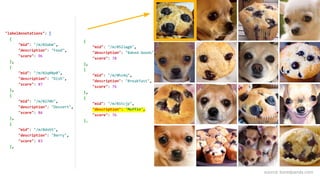 Machine learning with Google machine learning APIs - Puppy or Muffin?