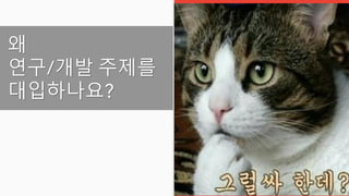 왜
연구/개발 주제를
대입하나요?
 