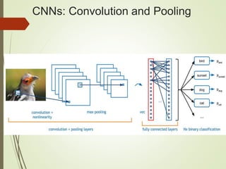 CNNs: Convolution and Pooling
 