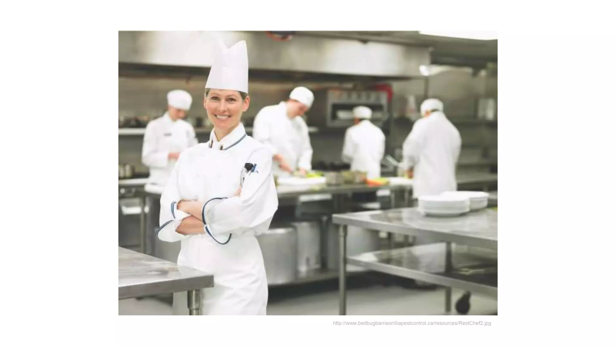 http://www.bedbugbarrieorilliapestcontrol.ca/resources/RestChef2.jpg
 