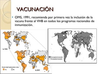 VACUNACIÓN OMS, 1991, recomienda por primera vez la inclusión de la vacuna frente al VHB en todos los programas nacionales de inmunización.  