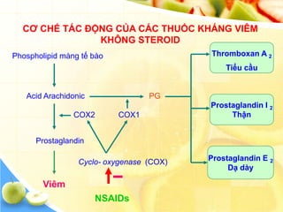 CƠ CHẾ TÁC ĐỘNG CỦA CÁC THUỐC KHÁNG VIÊM
               KHÔNG STEROID
Phospholipid màng tế bào                  Thromboxan A 2
                                              Tiểu cầu


   Acid Arachidonic               PG
                                          Prostaglandin I 2
                COX2       COX1                Thận


      Prostaglandin

                 Cyclo- oxygenase (COX)   Prostaglandin E 2
                                               Dạ dày

        Viêm
                      NSAIDs
 