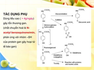 TÁC DỤNG PHỤ
Dùng liều cao ( > 4g/ngày)
gây tổn thương gan.
(chất chuyển hoá là N-
acetyl benzoquinoneimin,
phản ứng với nhóm –SH
của protein gan gây hoại tử
tế bào gan)
 