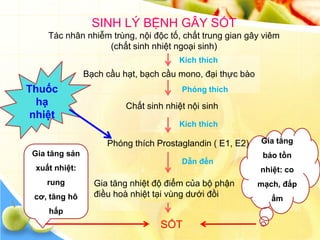 SINH LÝ BỆNH GÂY SỐT
    Tác nhân nhiễm trùng, nội độc tố, chất trung gian gây viêm
                  (chất sinh nhiệt ngoại sinh)
                                      Kích thích
               Bạch cầu hạt, bạch cầu mono, đại thực bào
Thuốc                                  Phóng thích
  hạ                     Chất sinh nhiệt nội sinh
nhiệt
                                      Kích thích

                    Phóng thích Prostaglandin ( E1, E2)    Gia tăng
Gia tăng sản                                                bảo tồn
                                       Dẫn đến
 xuất nhiệt:                                               nhiệt: co
    rung         Gia tăng nhiệt độ điểm của bộ phận        mạch, đắp
 cơ, tăng hô     điều hoà nhiệt tại vùng dưới đồi             ấm
    hấp
                                  SỐT
 