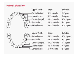 Comprehensive Overview of Child Growth and Development Stages | PPTX