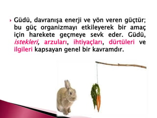  Güdü, davranışa enerji ve yön veren güçtür;
bu güç organizmayı etkileyerek bir amaç
için harekete geçmeye sevk eder. Güdü,
istekleri, arzuları, ihtiyaçları, dürtüleri ve
ilgileri kapsayan genel bir kavramdır.
 