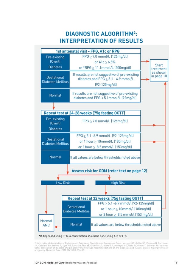 IDF GDM MODEL OF CARE IMPLEMENTATION PROTOCOL GUIDELINES FOR HEALTHCARE