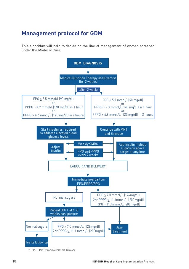 IDF GDM MODEL OF CARE IMPLEMENTATION PROTOCOL GUIDELINES FOR HEALTHCA…
