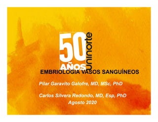 EMBRIOLOGIA VASOS SANGUÍNEOS
Pilar Garavito Galofre, MD, MSc, PhD
Carlos Silvera Redondo, MD, Esp, PhD
Agosto 2020
 