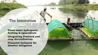 Float-farming and Climate Initiative of SAFE | PPTX