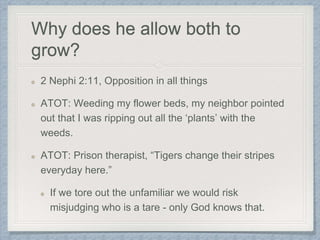 Why does he allow both to
grow?
2 Nephi 2:11, Opposition in all things
ATOT: Weeding my flower beds, my neighbor pointed
out that I was ripping out all the ‘plants’ with the
weeds.
ATOT: Prison therapist, “Tigers change their stripes
everyday here.”
If we tore out the unfamiliar we would risk
misjudging who is a tare - only God knows that.
 