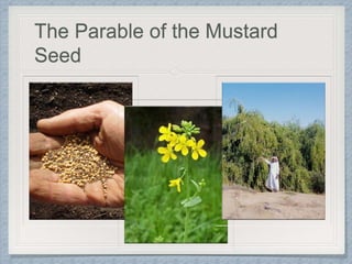 The Parable of the Mustard
Seed
 