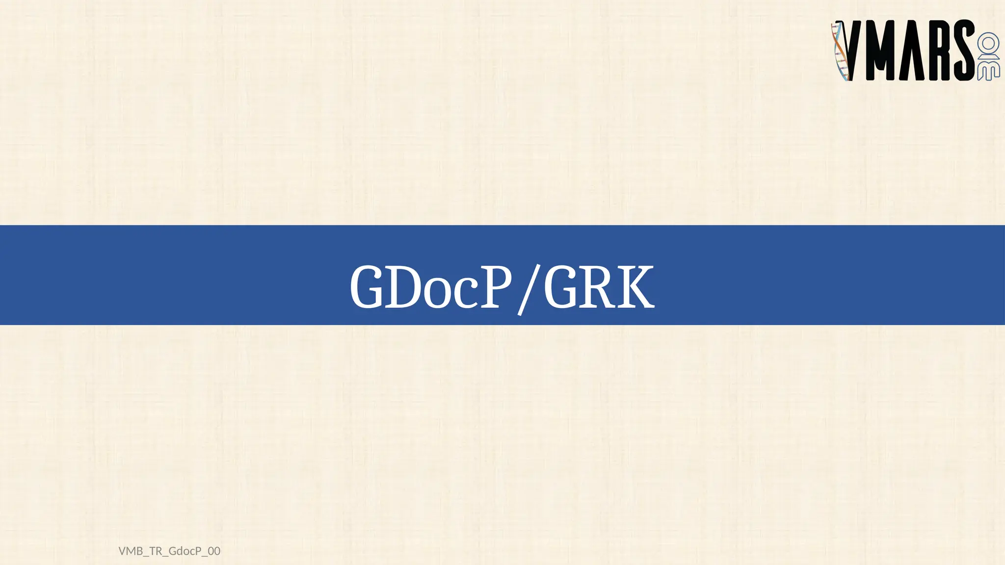 GDocP/GRK
VMB_TR_GdocP_00
 