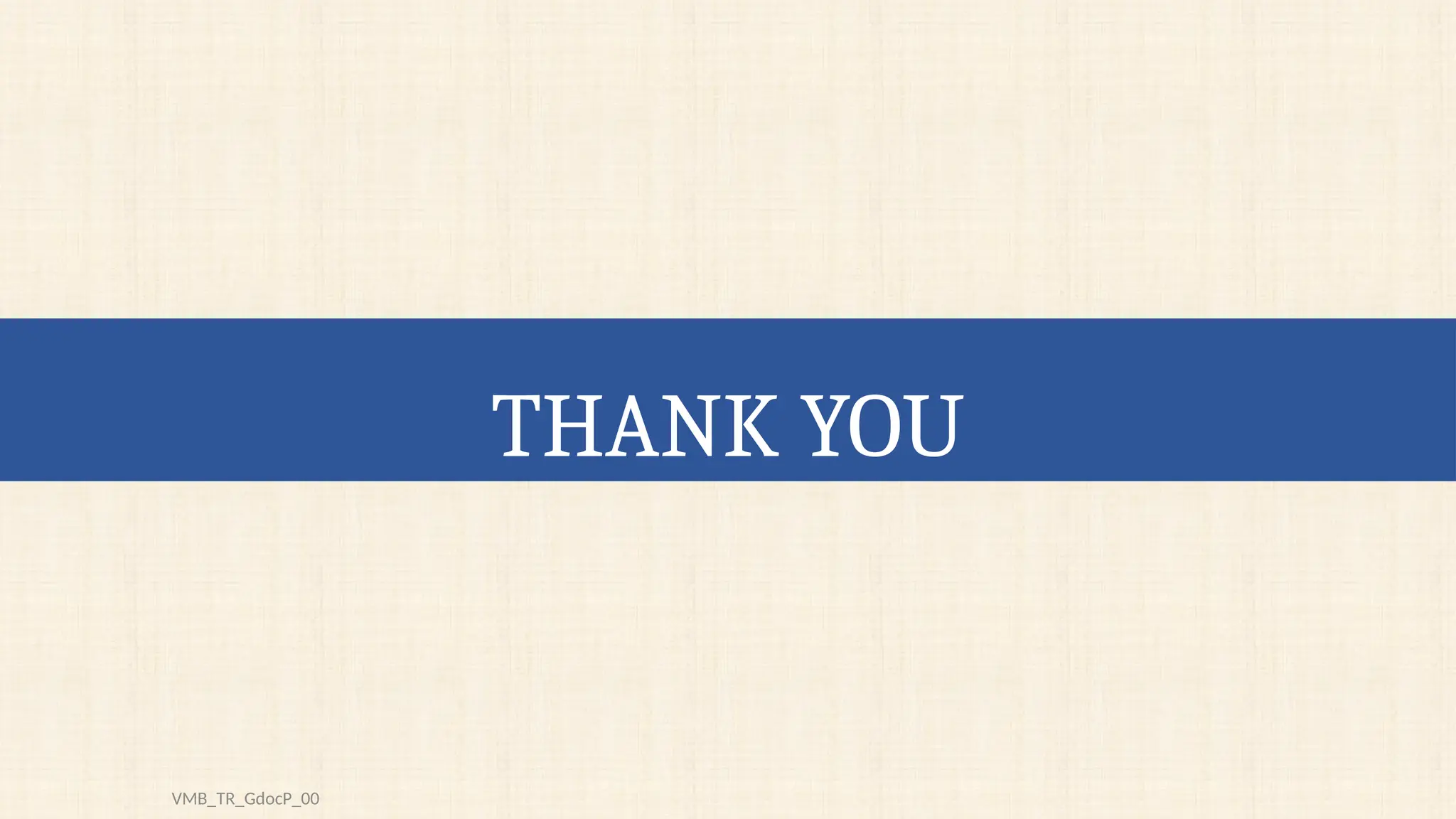 THANK YOU
VMB_TR_GdocP_00
 