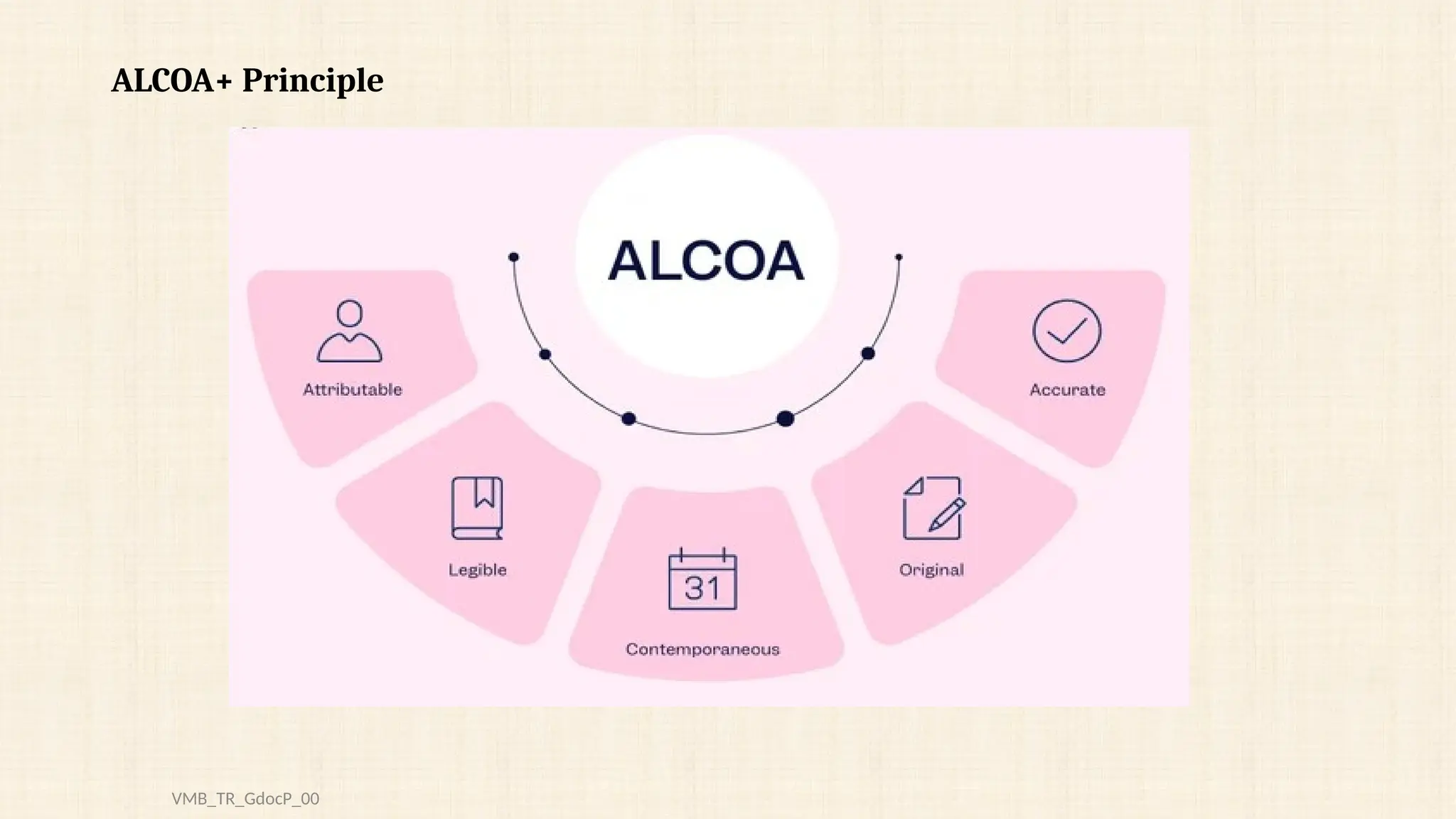 ALCOA+ Principle
VMB_TR_GdocP_00
 