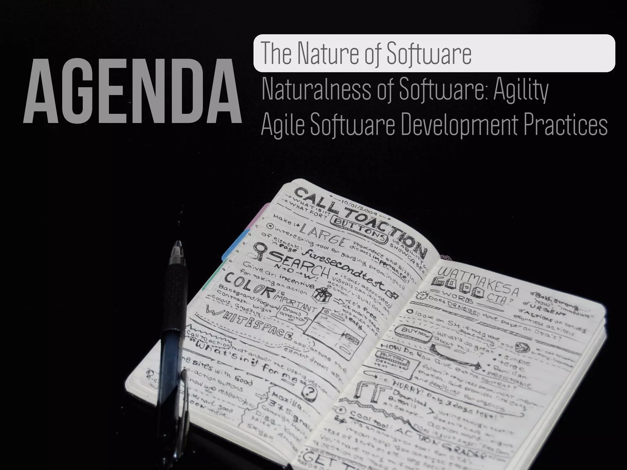 agenda
The Nature of Software
Naturalness of Software: Agility
Agile Software Development Practices
 