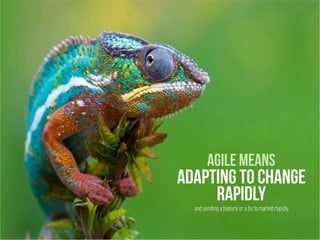 Agile means
Adapting to change
rapidly
and sending a feature or a ﬁx to market rapidly
 