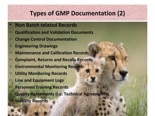Types of GMP Documentation (2)
• Non Batch related Records
o Qualification and Validation Documents
o Change Control Documentation
o Engineering Drawings
o Maintenance and Calibration Records
o Complaint, Returns and Recalls Records
o Environmental Monitoring Records
o Utility Monitoring Records
o Line and Equipment Logs
o Personnel Training Records
o Quality Agreements (i.e. Technical Agreements)
o Stability Records
 