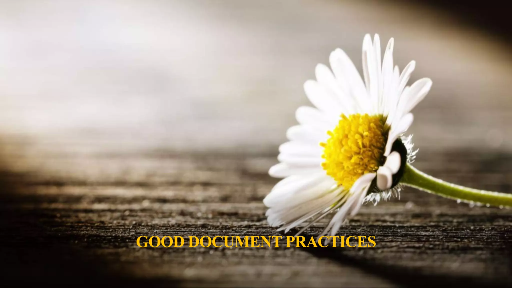 GOOD DOCUMENT PRACTICES
 