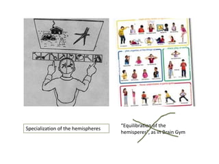 Specialization of the hemispheres

“Equilibration of the
hemisperes”, as in Brain Gym

 
