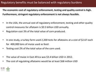 Aflatoxins, animal health and safety of animal source foods 