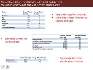 Aflatoxins, animal health and safety of animal source foods 