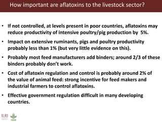 Aflatoxins, animal health and safety of animal source foods 