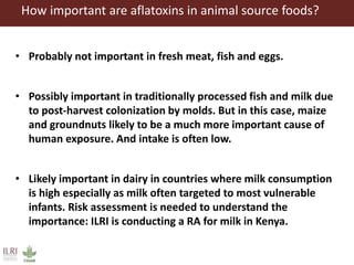 Aflatoxins, animal health and safety of animal source foods 