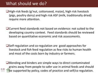 Aflatoxins, animal health and safety of animal source foods 
