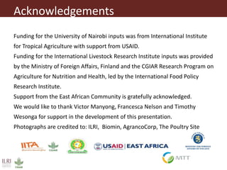 Aflatoxins, animal health and safety of animal source foods 