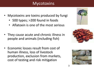 Aflatoxins, animal health and safety of animal source foods 
