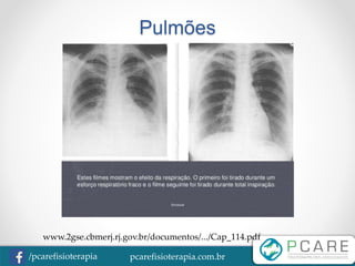 pcarefisioterapia.com.br/pcarefisioterapia
Pulmões
www.2gse.cbmerj.rj.gov.br/documentos/.../Cap_114.pdf
 