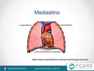 pcarefisioterapia.com.br/pcarefisioterapia
Mediastino
http://www.sudorextremo.com/service/cirugia-toracica/
 