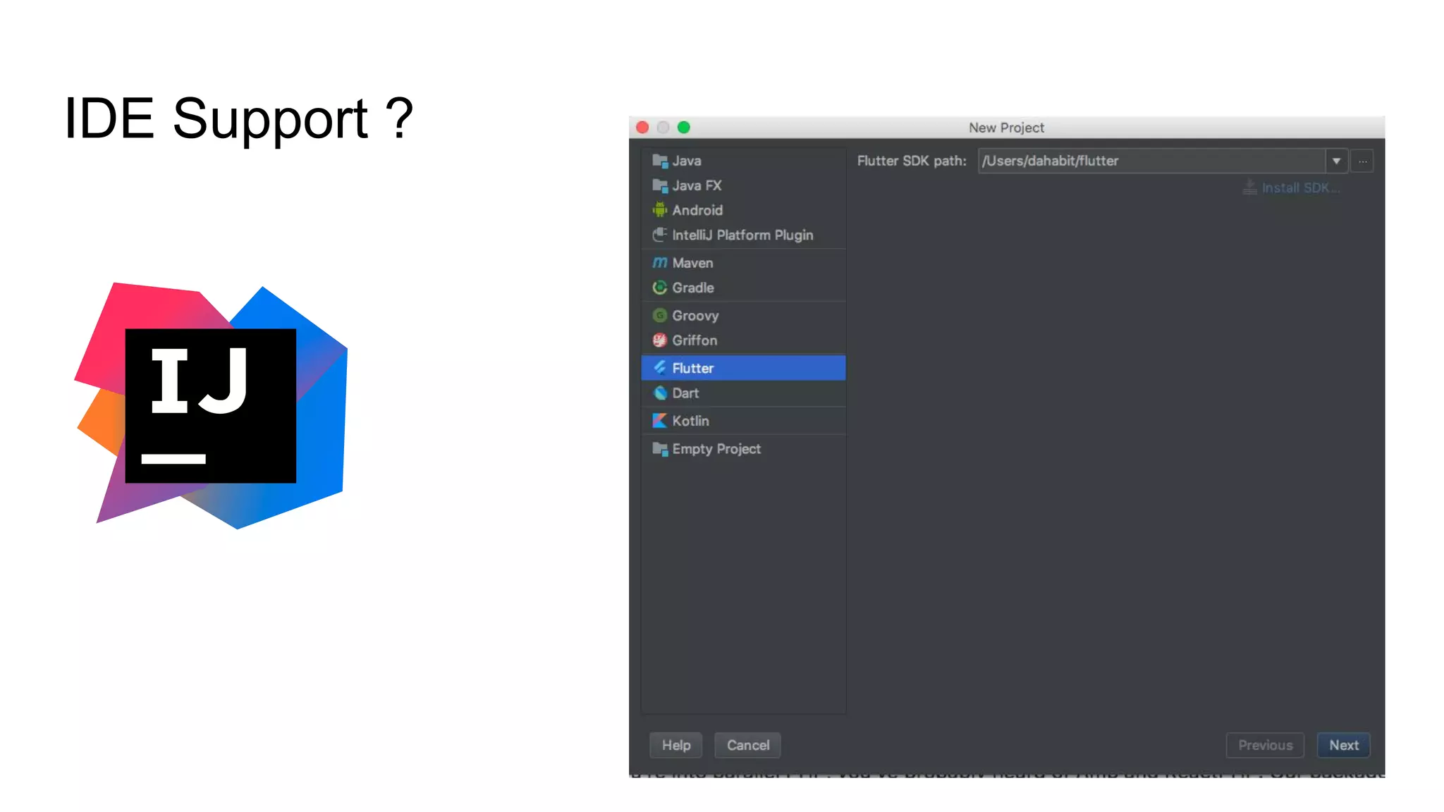 IDE Support ?
 