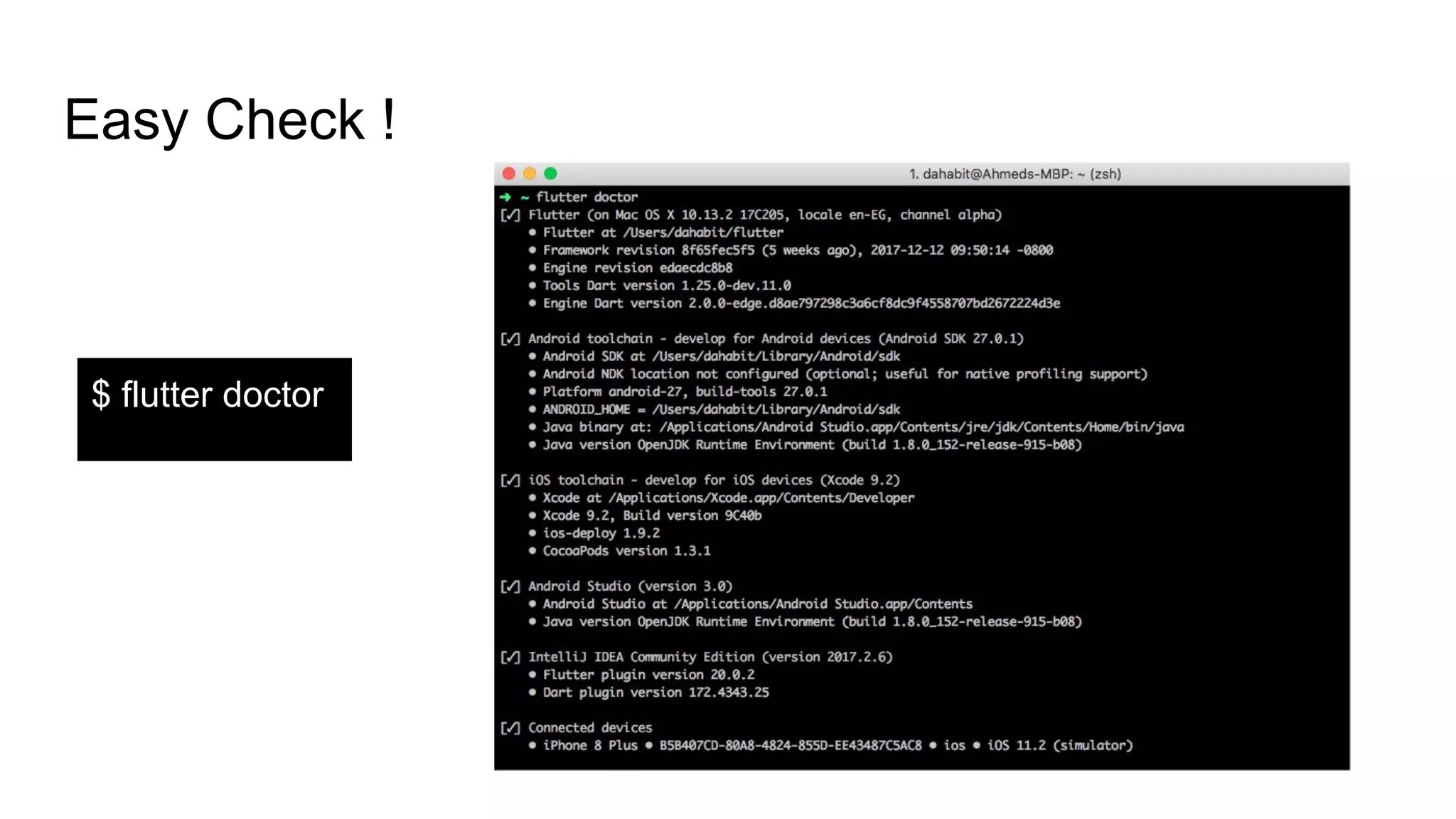 Easy Check !
$ flutter doctor
 