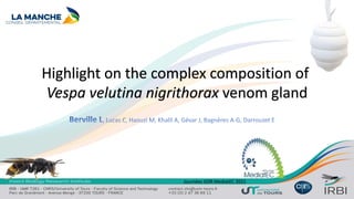 Highlight on the complex composition of
Vespa velutina nigrithorax venom gland
Journées GDR MediatEC 2021
Berville L, Lucas C, Haouzi M, Khalil A, Gévar J, Bagnères A-G, Darrouzet E
 