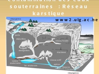 contamination des eaux souterraines : Réseau karstique www2.ulg.ac.be 